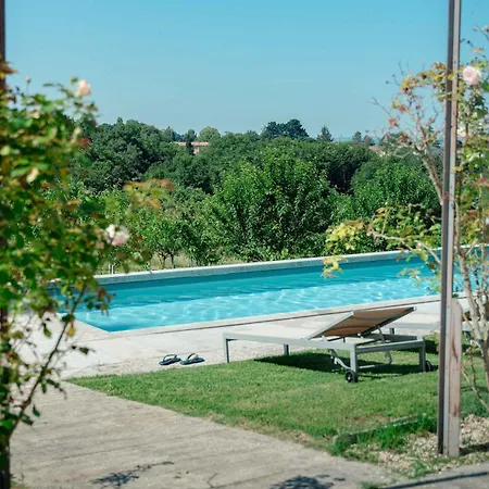 Domaine De La Peyrine - Rouge-gorge